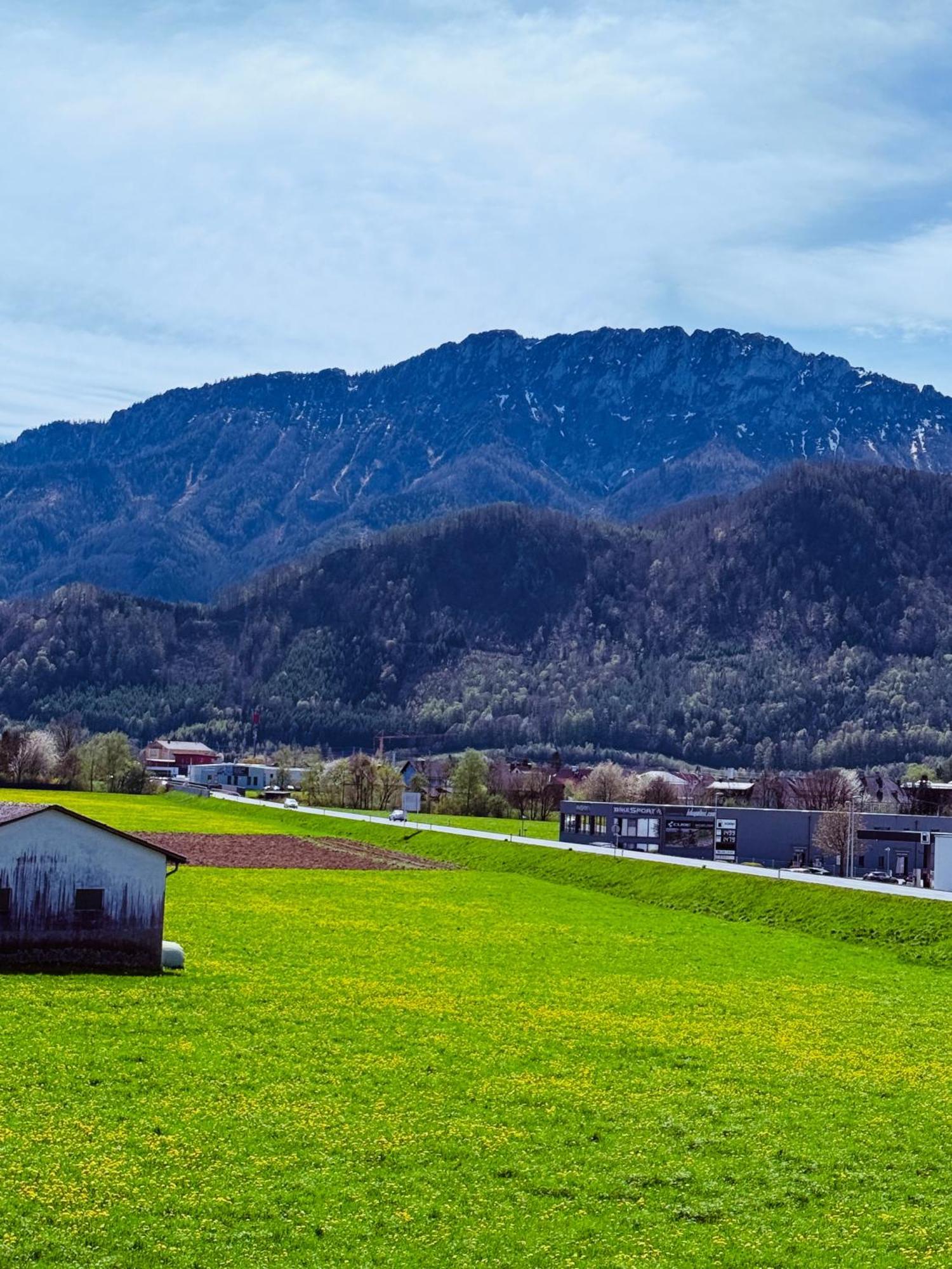 Zentrale Wohnung Mit Alpenblick Micheldorf in Oberösterreich Eksteriør bilde